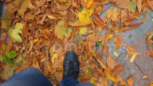 脚运动鞋行走在落叶上视频的预览图