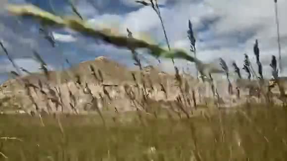 巴德兰兹国家公园草盘视频的预览图