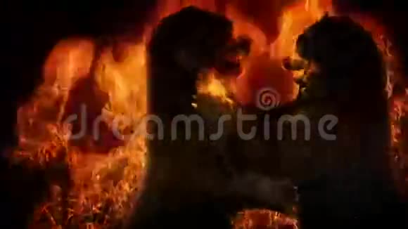 熊在火焰文摘中战斗视频的预览图