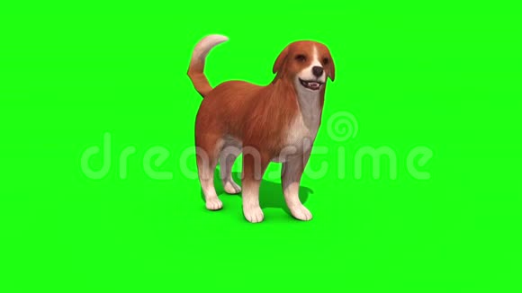 布朗大狗蛇绿屏3D渲染动画视频的预览图