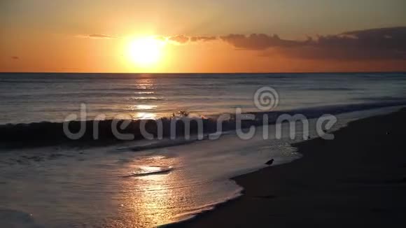 日落波循环视频片段视频的预览图