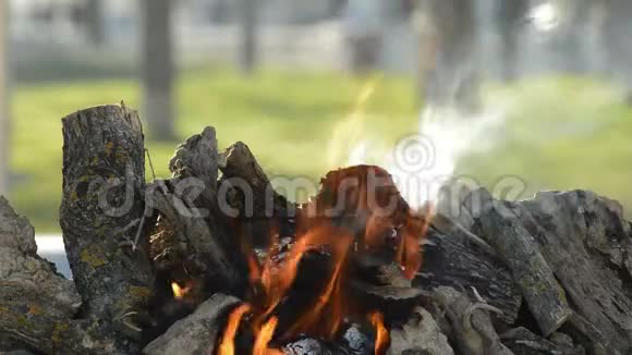篝火或篝火中燃烧的木头视频的预览图