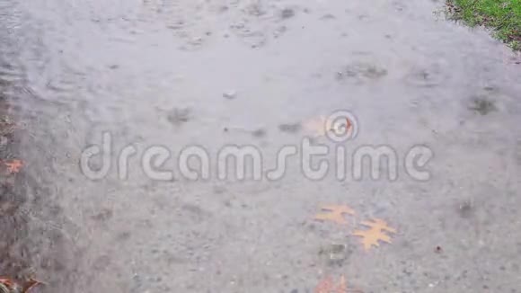 暴雨对水的高速拍摄视频的预览图