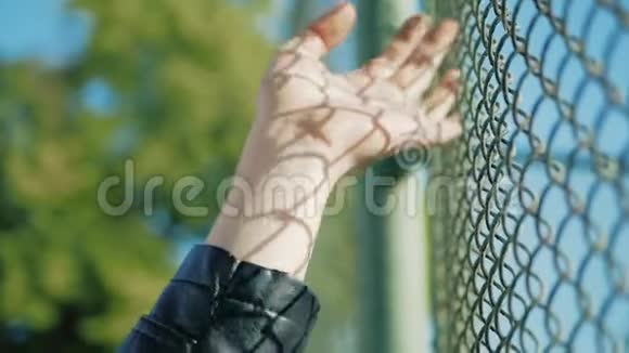 女性手沿网格表面移动年轻女子的手臂接触金属铁丝网女孩在夏天散步视频的预览图