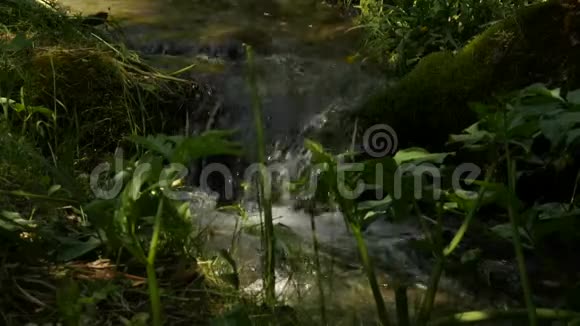湍急的水流在石头间流淌大石头和绿色植被之间的小山河4K视频的预览图