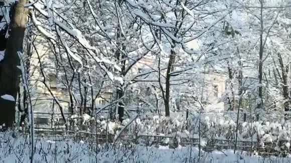 冬天的旧院子里覆盖着雪视频的预览图