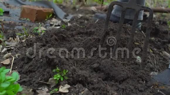 年轻女子用草叉挖腐殖质种植的土壤准备有着黑色的地球快关门慢动作120fps视频的预览图