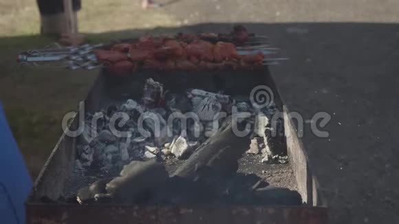 烤串上的肉有火和烟慢镜头视频的预览图