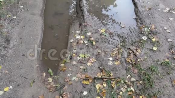 肮脏潮湿的秋田农村公路视频的预览图