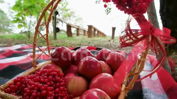 装满苹果和活力的篮子秋季礼物特写秋季森林的万圣节准备视频的预览图