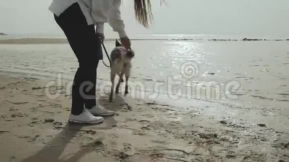 快乐的年轻女子和她的混血狗在海滩上散步后视图视频的预览图