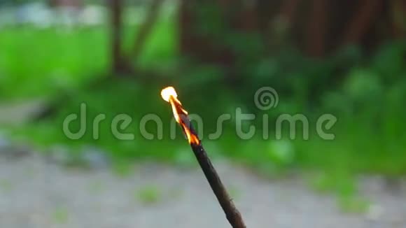 燃烧的树枝视频的预览图
