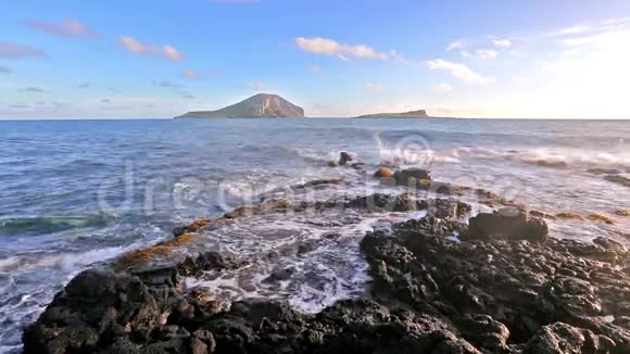 夏威夷瓦胡岛马卡布海滩附近的岩石上的波浪破碎视频的预览图