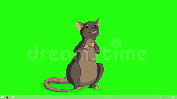 棕色老鼠坐着说话的动画Chroma键视频的预览图