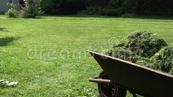 手推车与剪草和园丁妇女修剪草坪与割草机4K视频的预览图