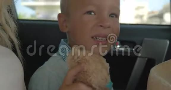 汽车后座上有毛绒玩具的男孩视频的预览图