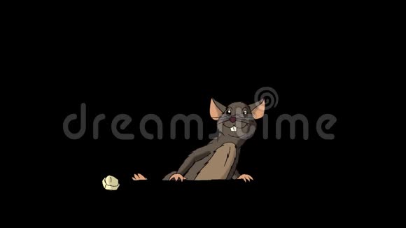 布朗老鼠爬出来吃奶酪动画阿尔法马特视频的预览图