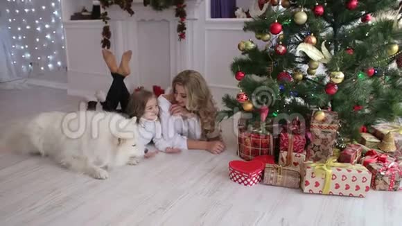 母亲女儿和狗躺在圣诞树旁视频的预览图