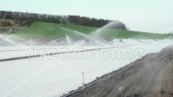 田间灌溉向植物喷洒洒水视频的预览图