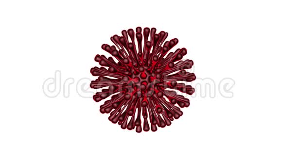 具有红色停止标志概念的2019nCOV病毒株与危险细胞和刻字冠状病毒流行冠状病毒视频的预览图