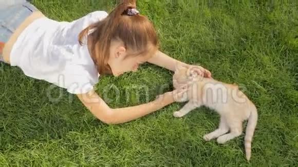 在公园草地上爱抚可爱的红色小猫的快乐微笑女孩的顶部景色视频的预览图
