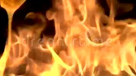 火在实时燃烧视频的预览图