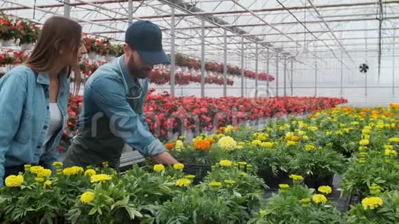 在阳光花园商店买花的女人4K年轻女子在阳光明媚的植物区里买装饰植物视频的预览图