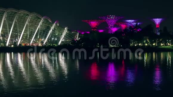新加坡海湾花园夜景视频的预览图