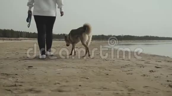 快乐的年轻女子和她的混血狗在海滩上散步后视图视频的预览图