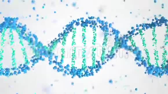 旋转DNA分子循环三维动画视频的预览图