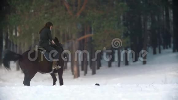 美丽的长发女人骑着一匹黑色的马穿过森林里的雪独立的种马跳跃着视频的预览图