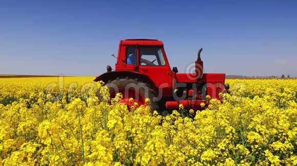 农场拖拉机在油菜田和蓝天美丽的春天视频的预览图