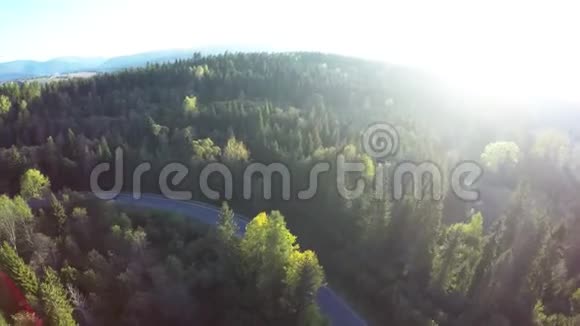 在森林里飞过河流视频的预览图