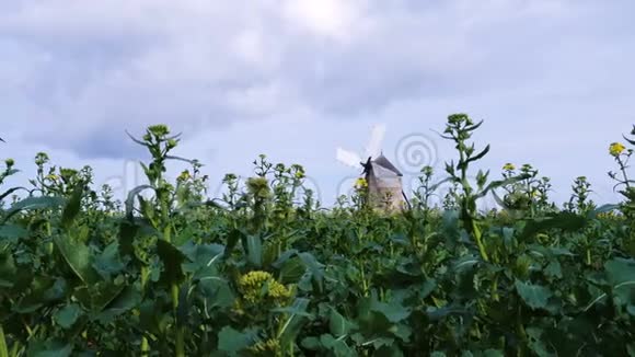 古老的传统诺曼底风车视频的预览图