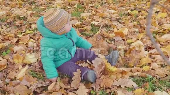 小男孩在秋天公园玩秋叶慢动作视频的预览图