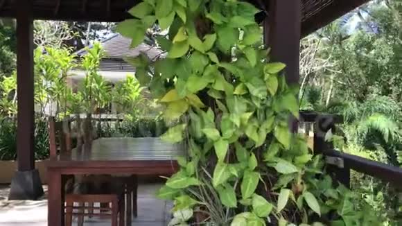 热带雨林背景上的几张木制椅子和桌子热带度假胜地巴厘岛4K软视频的预览图
