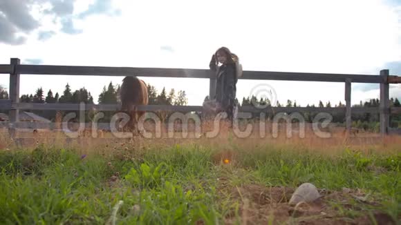 农场里的女人和马视频的预览图