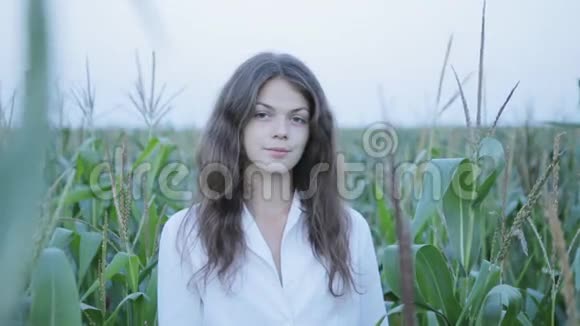 站在小玉米地里的漂亮女人视频的预览图