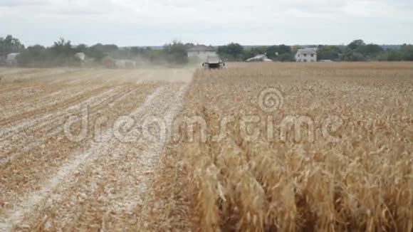 玉米收割机在农田收割玉米视频的预览图