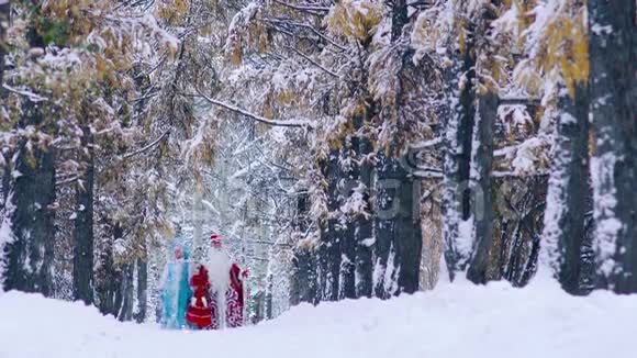 弗罗斯特神父和雪少女在雪林中漫步视频的预览图