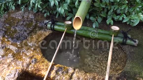 日本花园的小井视频的预览图