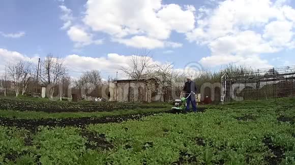 人用分蘖在花园里耕种土地准备播种视频的预览图