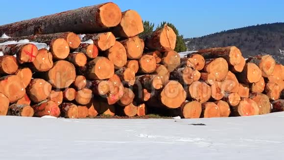 法国比利牛斯的原木堆视频的预览图