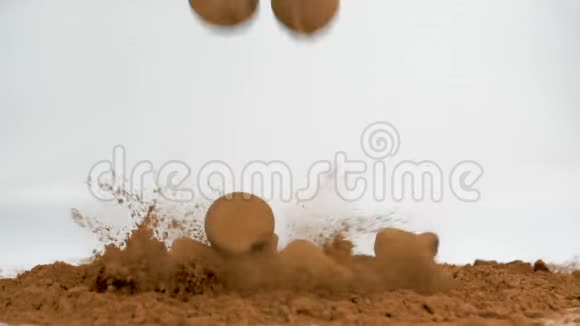 可可巧克力块菌落在白色可可粉中视频的预览图