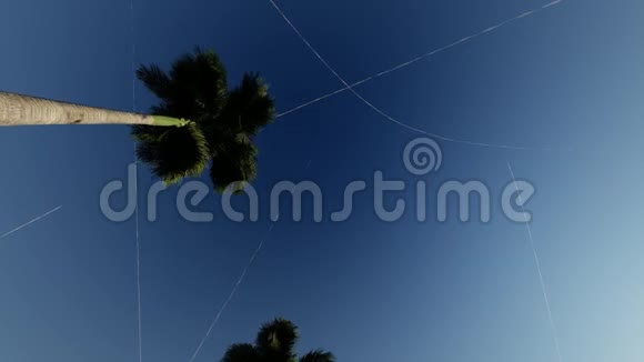 靠近棕榈树的移动对抗天空和飞机的轨道视频的预览图