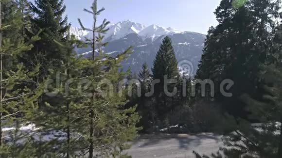 滑雪板背山冬季慢动作空中4k之间的树木山景空中4k视频的预览图