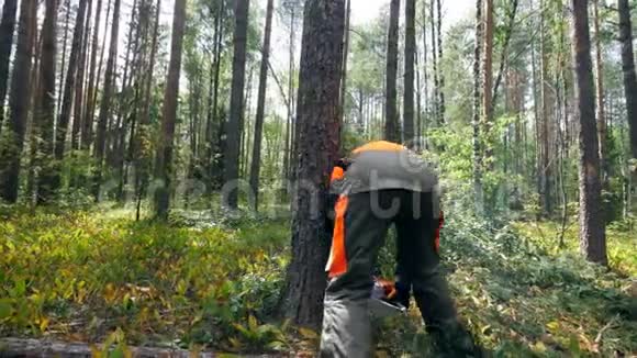 伐木工用电锯砍树视频的预览图