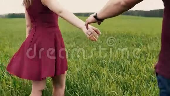 在田野里散步的快乐小杯的背面一个漂亮的年轻女人牵着她的男人的手视频的预览图