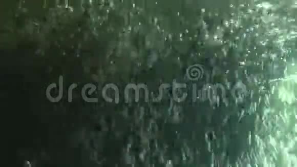 灯光背景下水中气泡视频的预览图