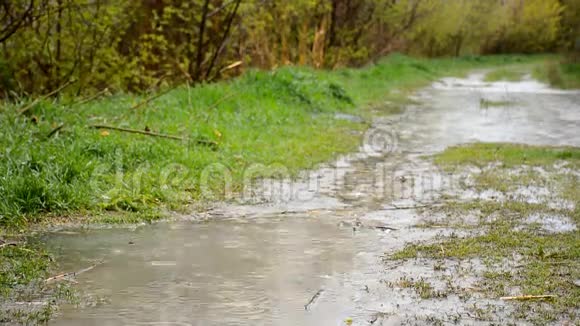 淹没了乡村公路雨滴落在水坑里产生气泡高清视频镜头1080P视频的预览图